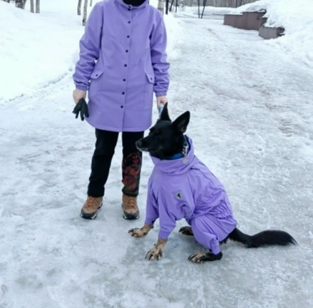 Фотография к отзыву от Светлана . Товар: <a href='/catalog/product/dozhdevik-dog24/'>Дождевик'24</a>