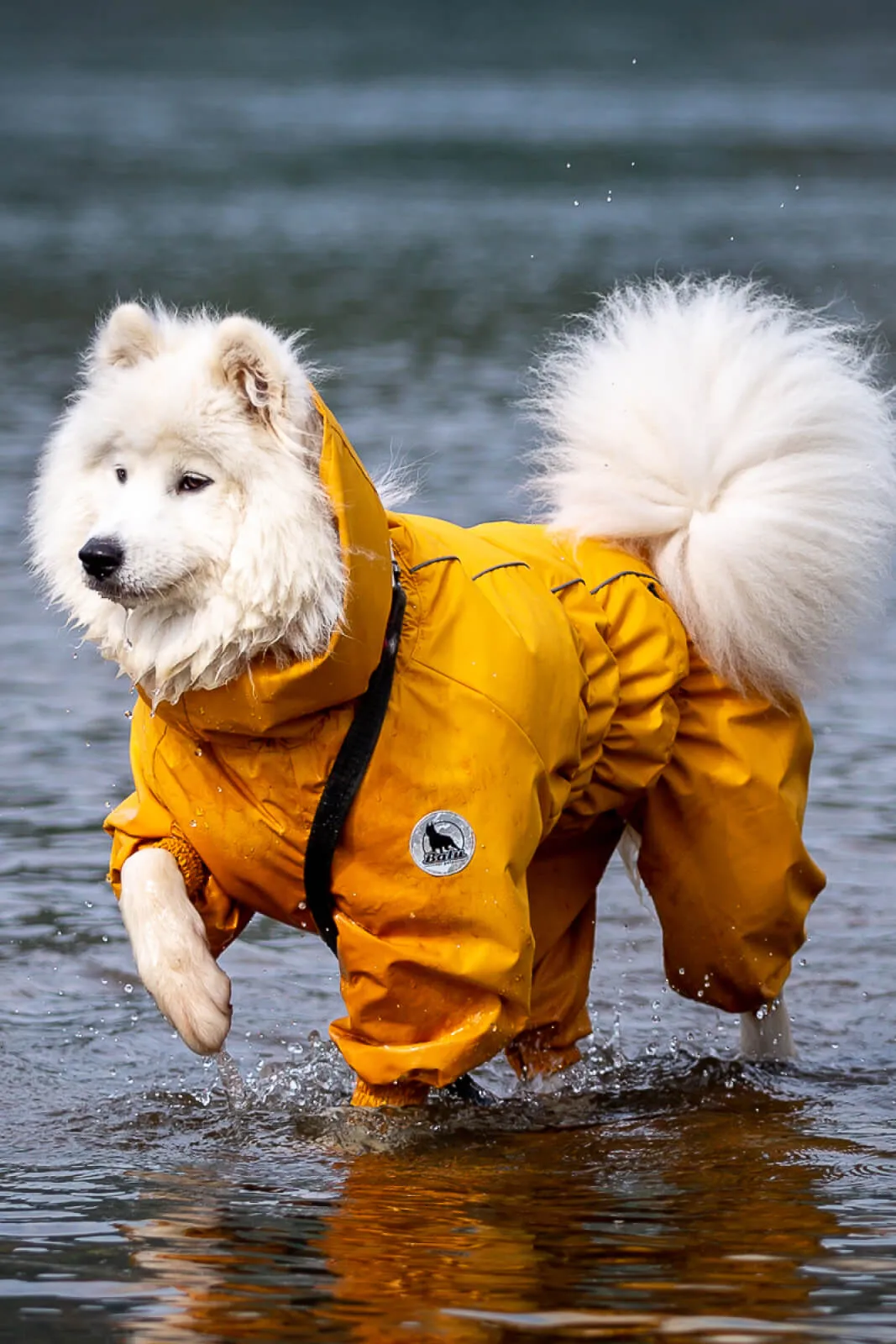 Balu