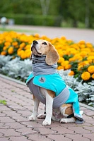 Спортивная попона
