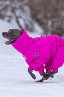 Зимний комбинезон'24