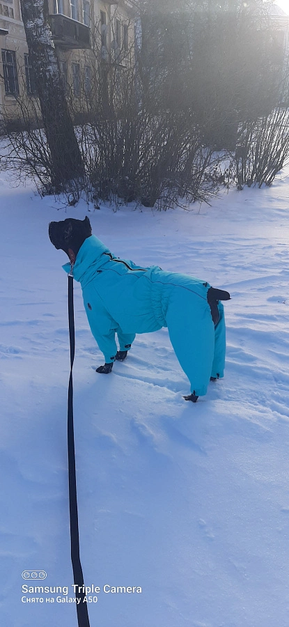 Фотография к отзыву от Ирина. Товар: <a href='/catalog/product/zimniy-kombinezon-dog24/'>Зимний комбинезон'24</a>