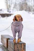 Зимний комбинезон'24