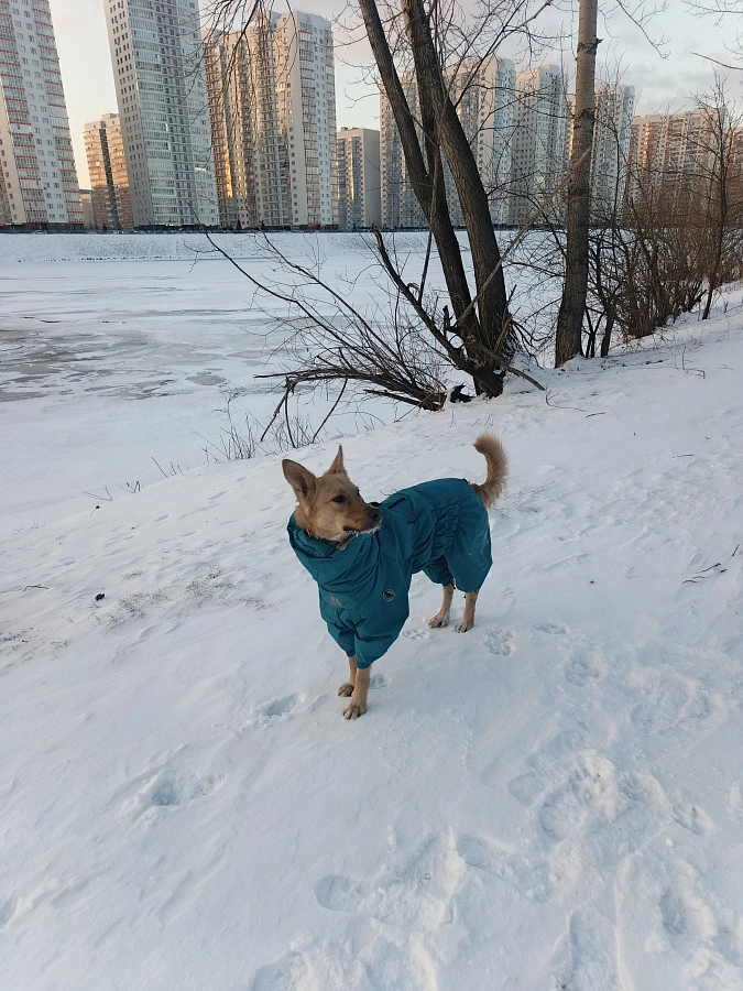 Фотография к отзыву от Светлана.