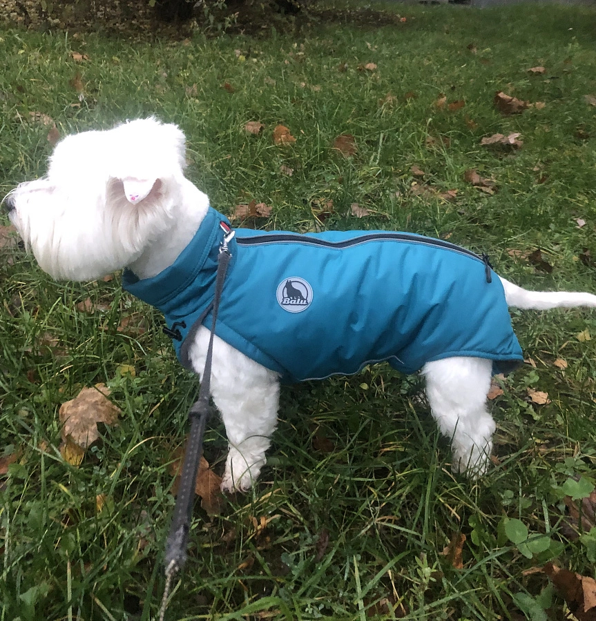 Фотография к отзыву от Ирина.