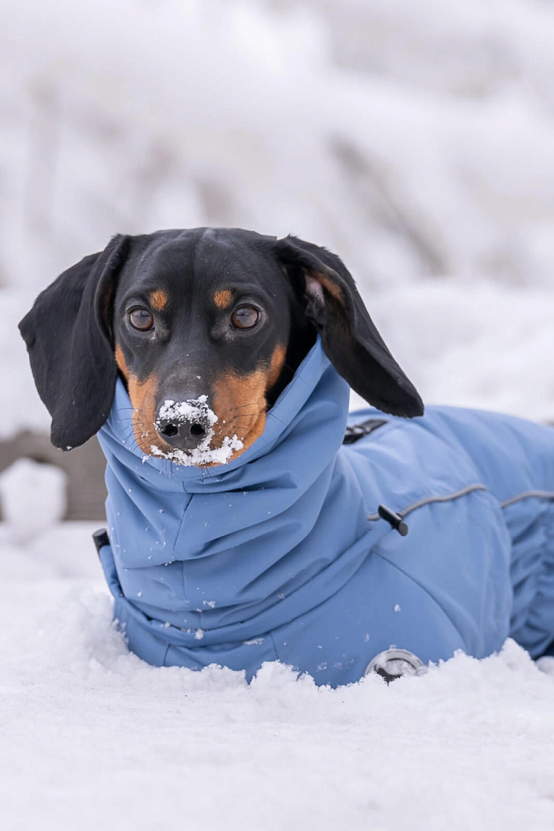 Зимний комбинезон'24