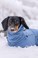 Зимний комбинезон'24