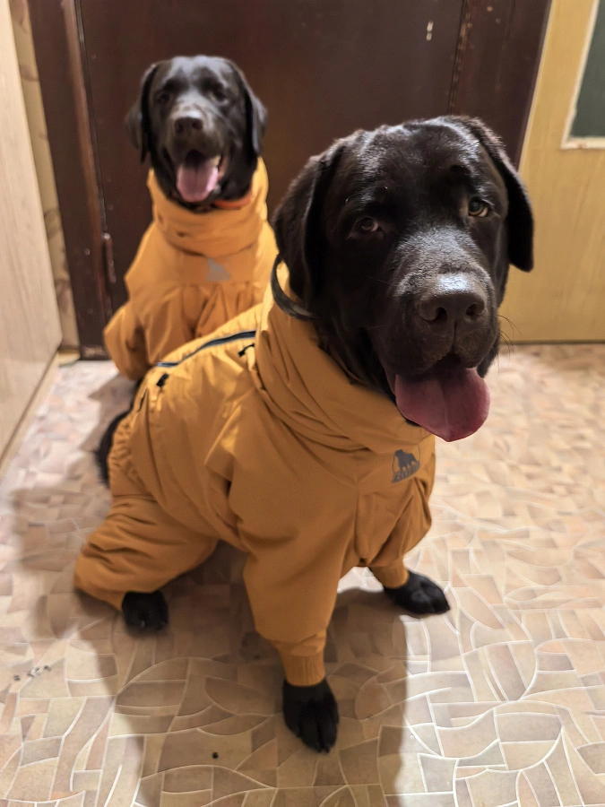 Фотография к отзыву от Любовь. Товар: <a href='/catalog/product/zimniy-kombinezon-dog24/'>Зимний комбинезон'24</a>