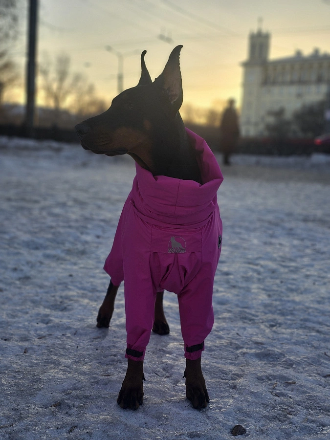 Фотография к отзыву от Елена .