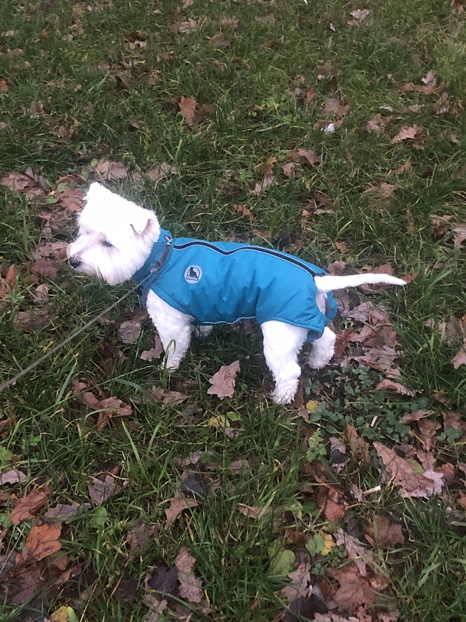 Фотография к отзыву от Ирина.