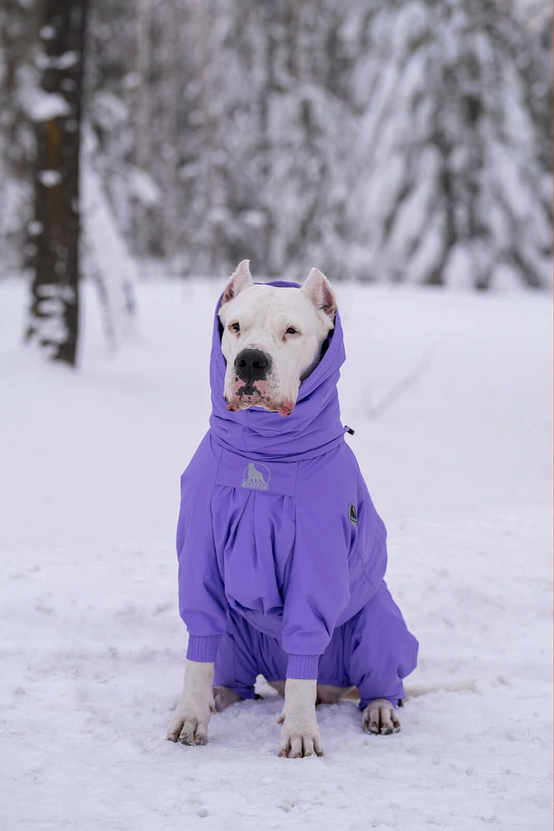 Зимний комбинезон'24