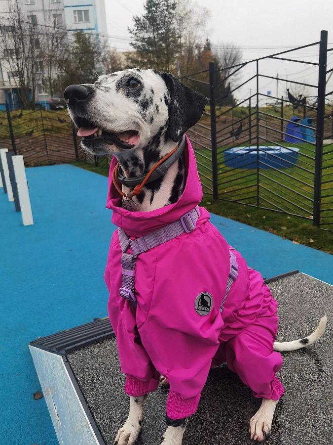 Фотография к отзыву от Гуминская Вера Николаевна .