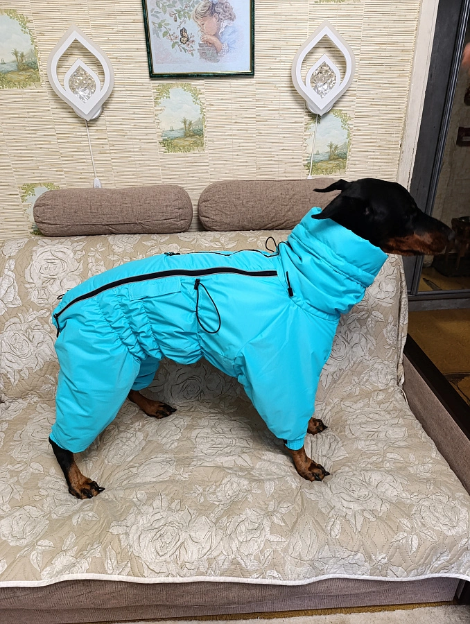 Фотография к отзыву от Малуха Наталья Вячеславовна .