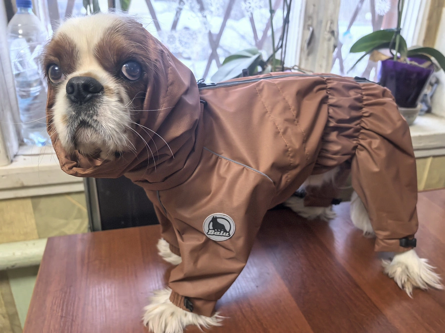 Фотография к отзыву от Любовь.