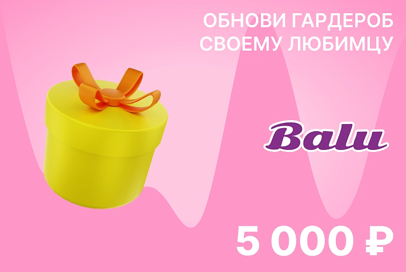 Подарочный сертификат на сумму 5000 ₽