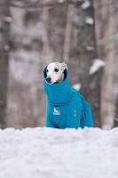 Зимний комбинезон'24