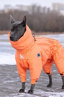 Зимний комбинезон'24