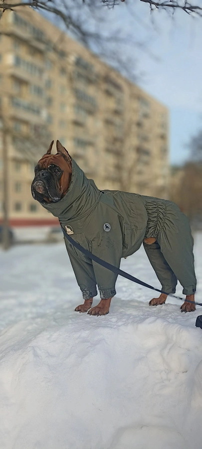 Фотография к отзыву от Беликова Людмила Николаевна. Товар: <a href='/catalog/product/zimniy-kombinezon-dog24/'>Зимний комбинезон'24</a>