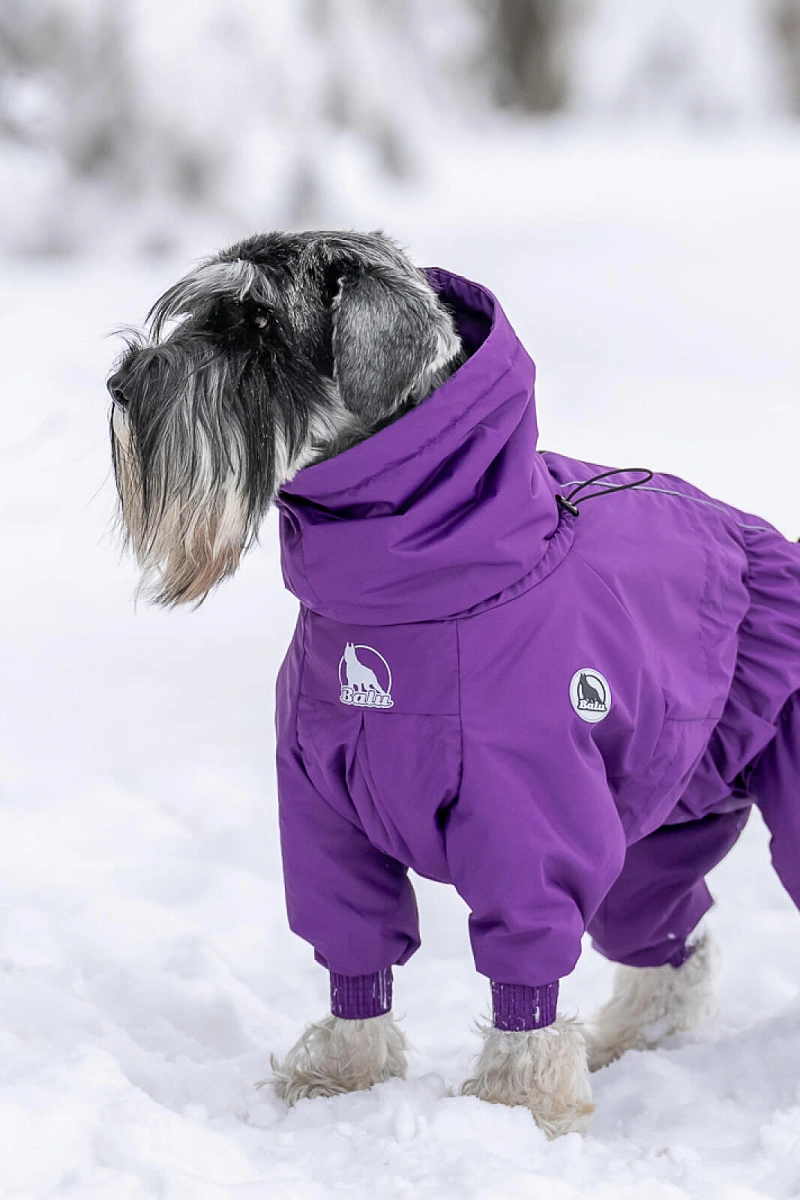 Зимний комбинезон'24