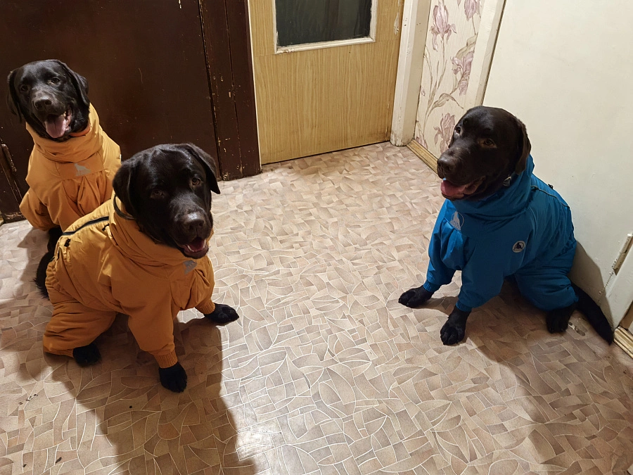 Фотография к отзыву от Любовь. Товар: <a href='/catalog/product/zimniy-kombinezon-dog24/'>Зимний комбинезон'24</a>