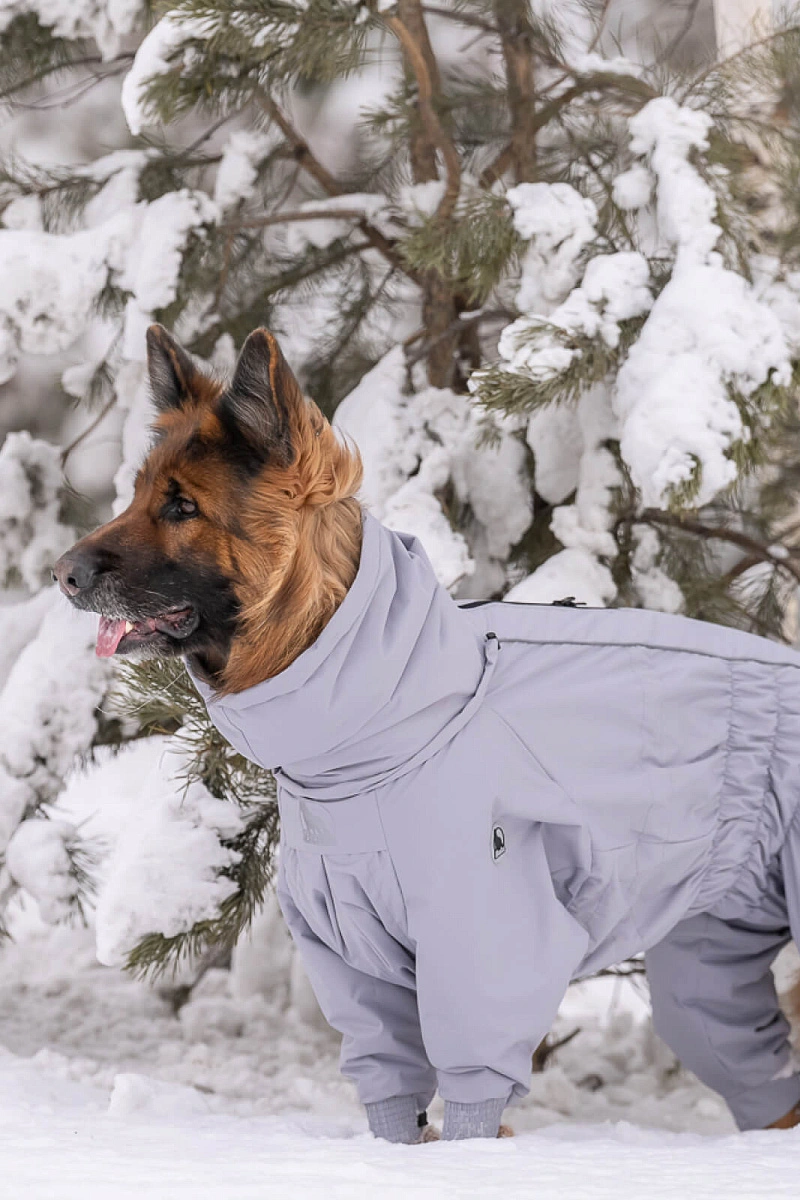 Зимний комбинезон'24