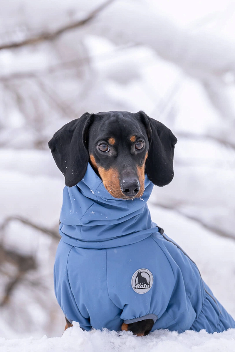 Зимний комбинезон'24