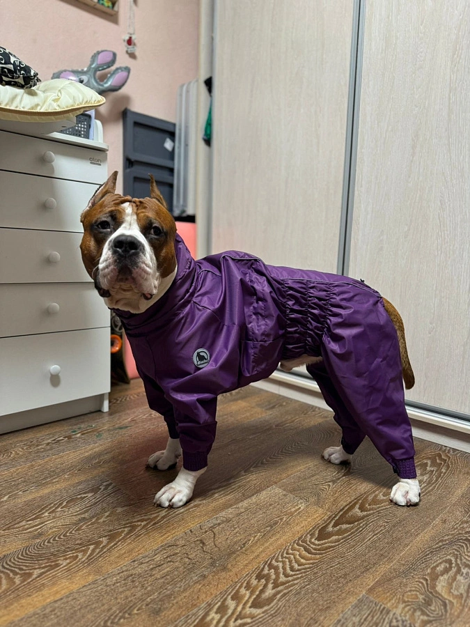 Фотография к отзыву от Марина.