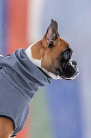 Попона Softshell (2026)