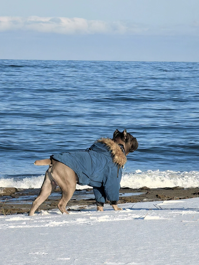 Фотография к отзыву от Данелюк Наталья Валериевна.