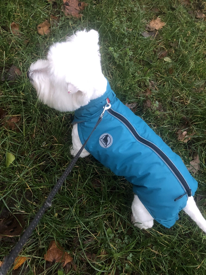 Фотография к отзыву от Ирина.