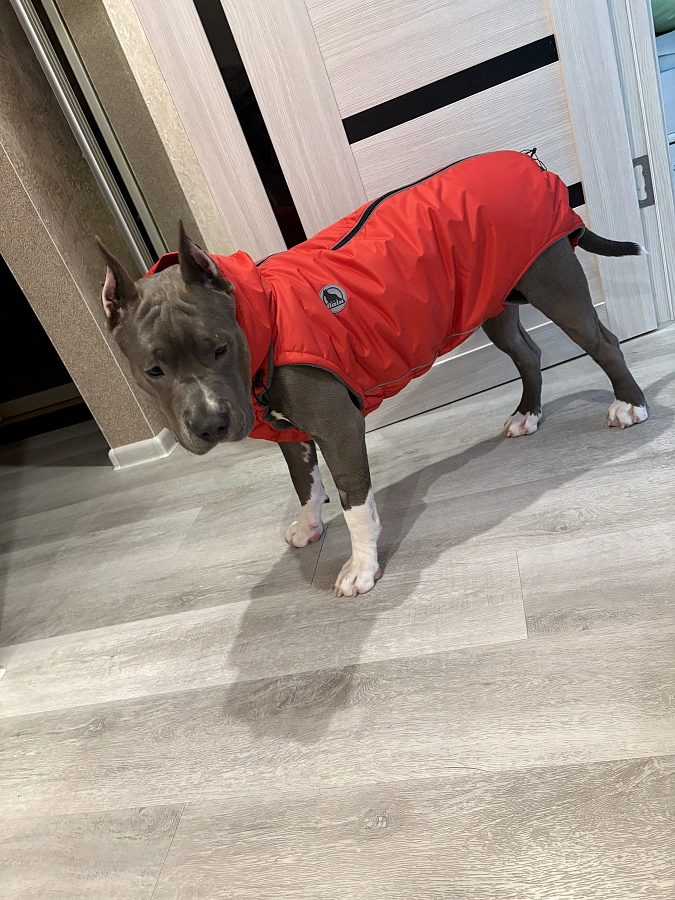 Фотография к отзыву от Соловьева Виктория Васильевна .