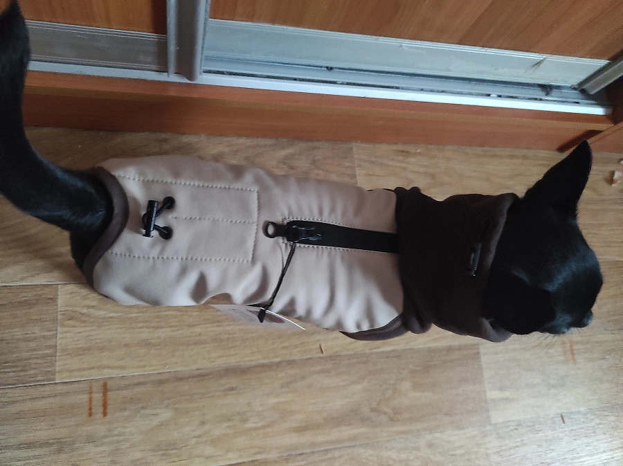 Фотография к отзыву от Светлана. Товар: <a href='/catalog/product/popona-softshell/'>Попона Softshell</a>