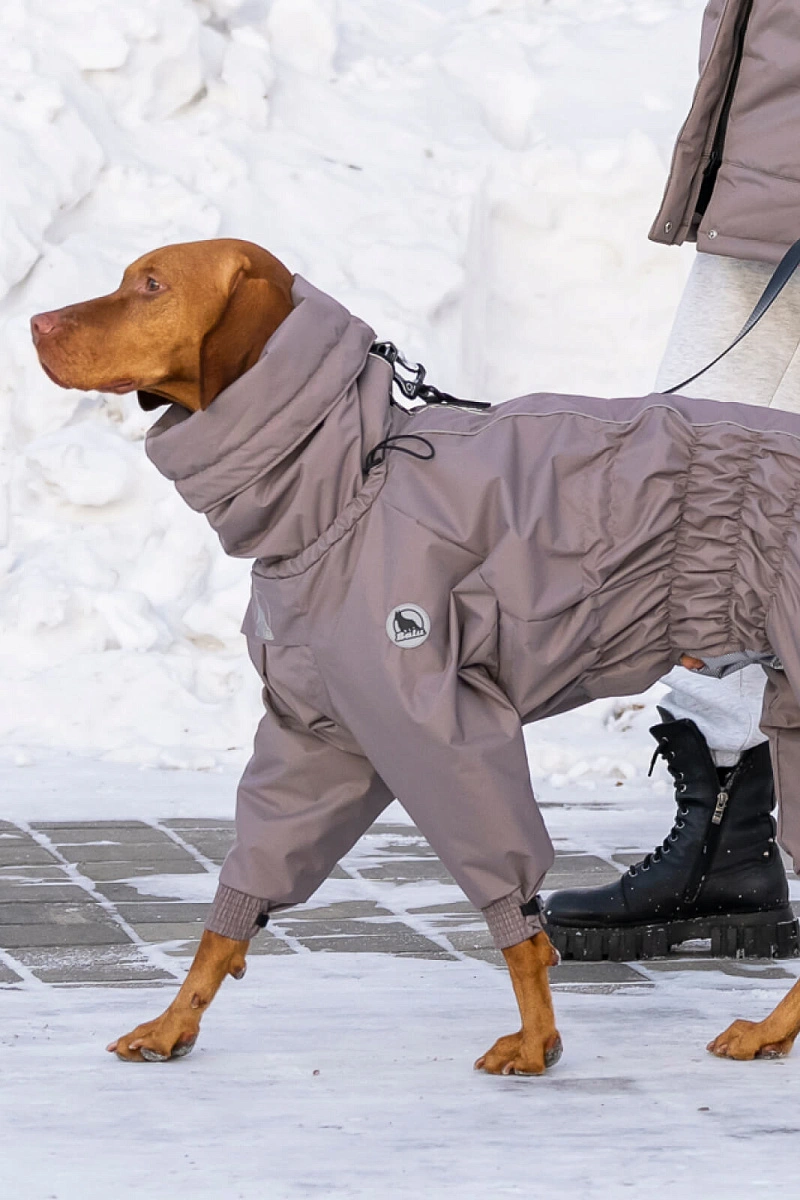 Зимний комбинезон'24