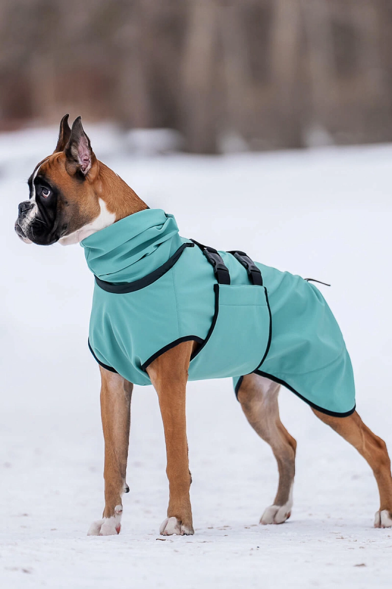 Попона Softshell (2026)