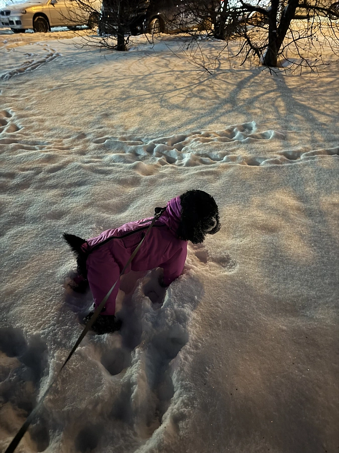 Фотография к отзыву от Козинская Светлана Анатольевна.