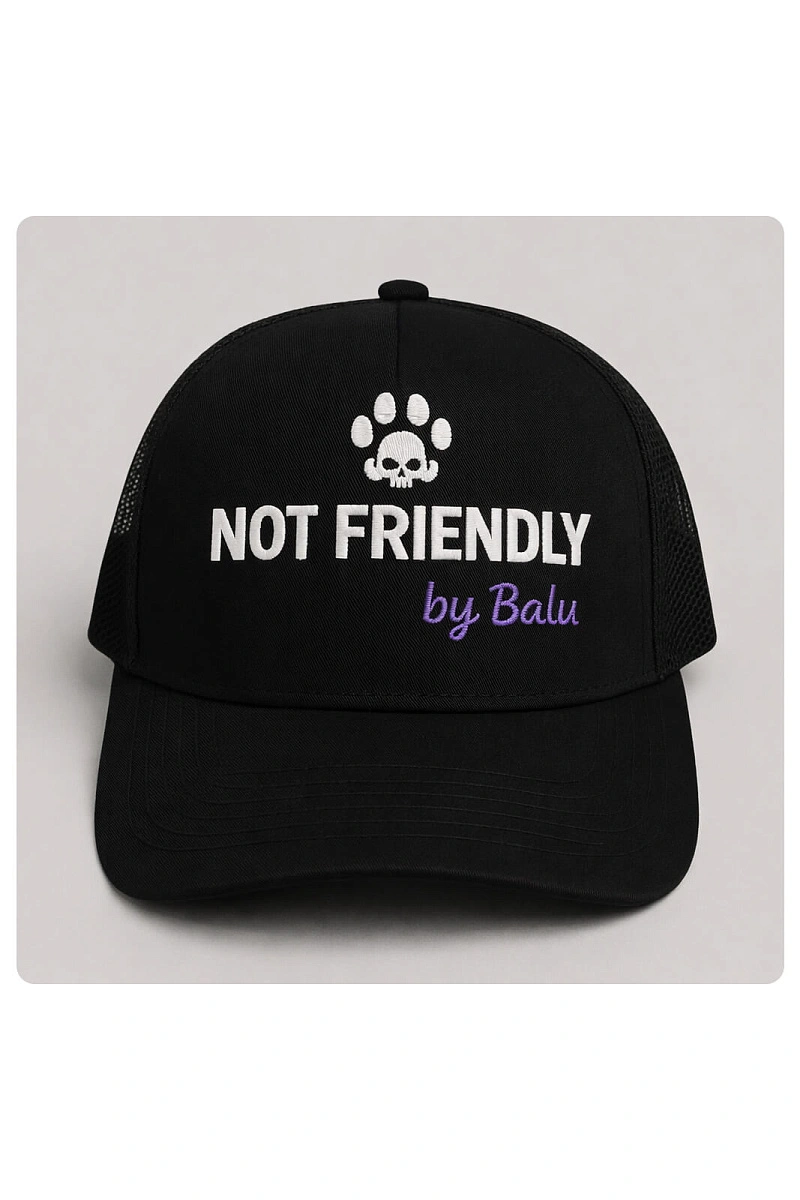 Бейсболка «Not Friendly» by Balu
