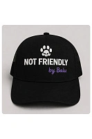 Бейсболка «Not Friendly» by Balu