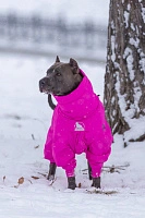 Зимний комбинезон'24