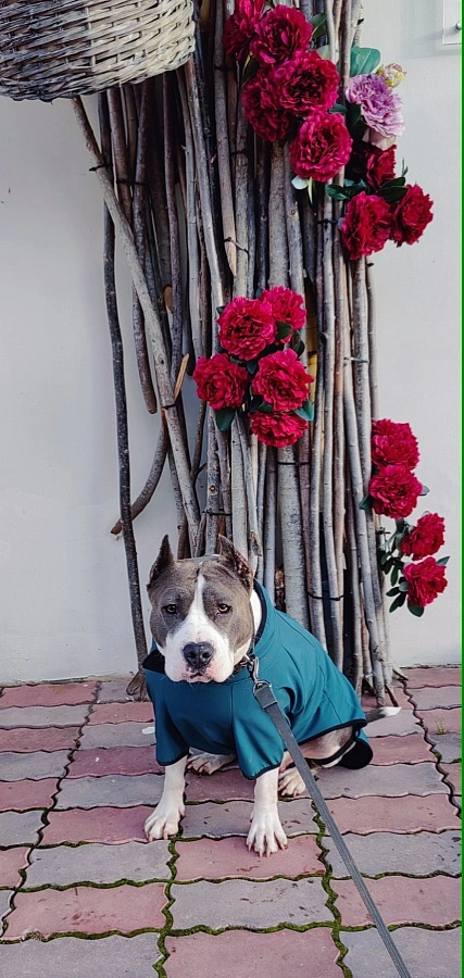 Фотография к отзыву от Щавлева Татьяна Александровна.