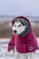 Спортивная попона