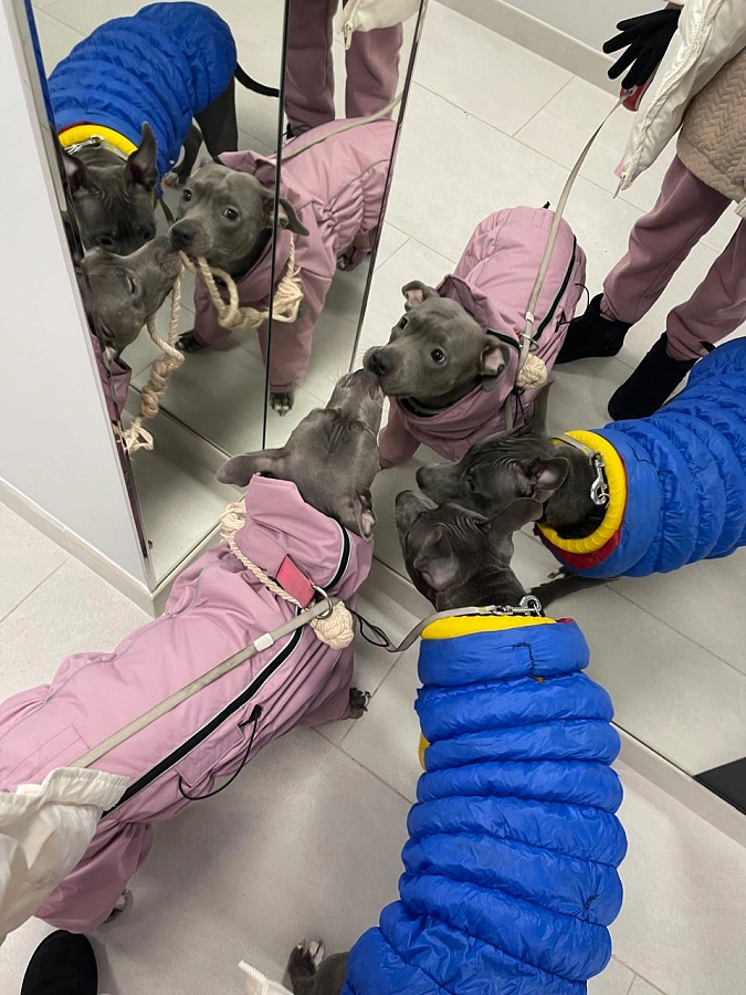 Фотография к отзыву от Жанна .