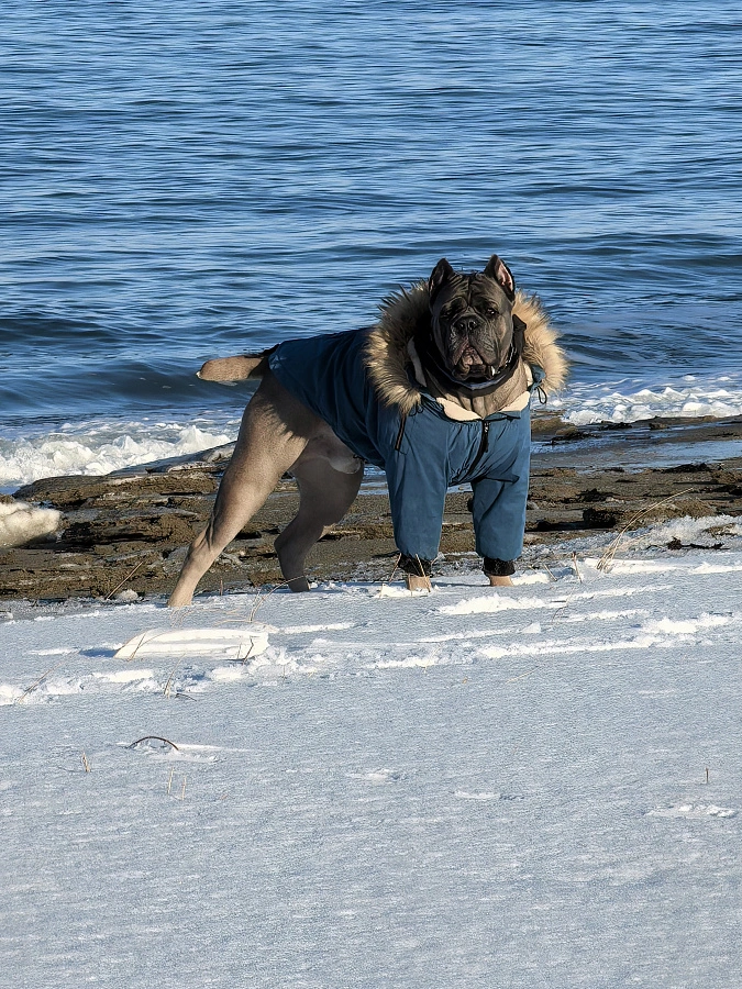 Фотография к отзыву от Данелюк Наталья Валериевна.
