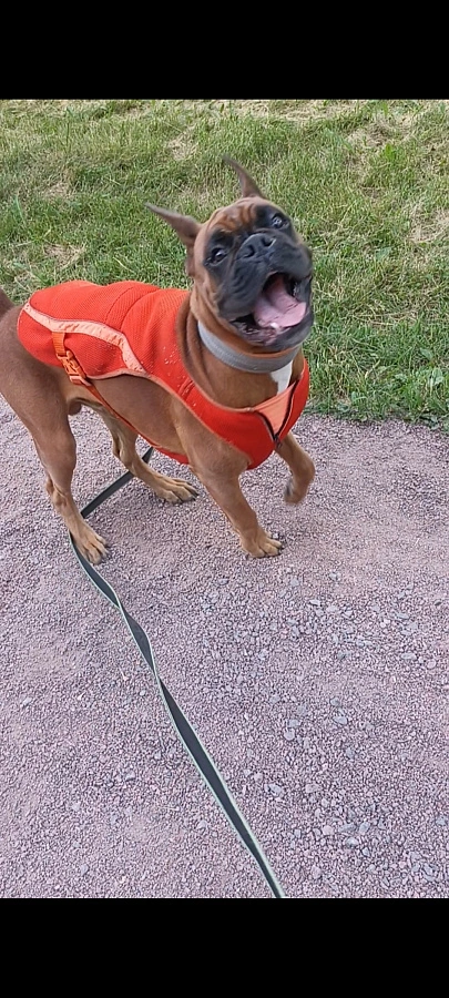 Фотография к отзыву от Беликова Людмила Николаевна. Товар: <a href='/catalog/product/okhlazhdayushchiy-zhilet/'>Охлаждающий жилет</a>