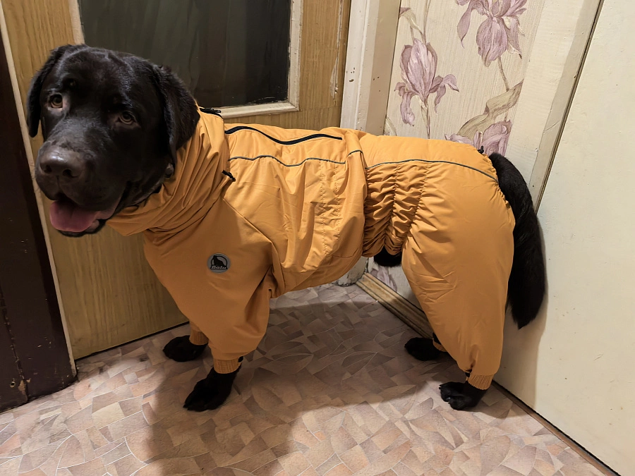 Фотография к отзыву от Любовь. Товар: <a href='/catalog/product/zimniy-kombinezon-dog24/'>Зимний комбинезон'24</a>