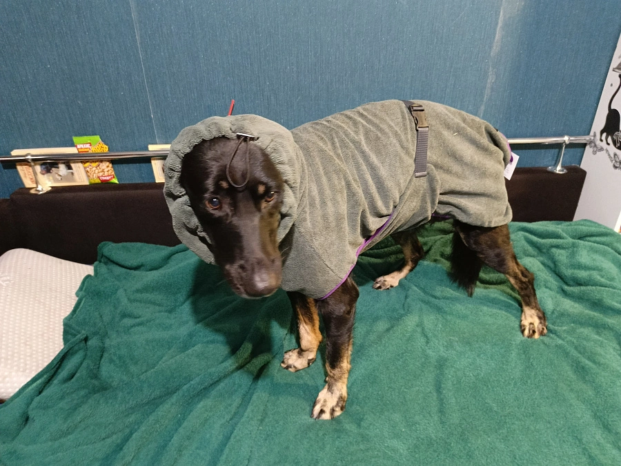 Фотография к отзыву от Старкова Светлана Григорьевна . Товар: <a href='/catalog/product/polotentse-khalat/'>Полотенце/халат</a>