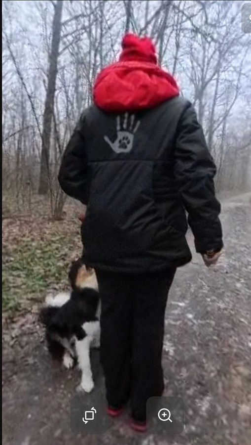 Фотография к отзыву от Ирина. Товар: <a href='/catalog/product/zimnyaya-sportivnaya-kurtka-dlya-dressirovki/'>Зимняя спортивная куртка для дрессировки (от 0 до -30)</a>