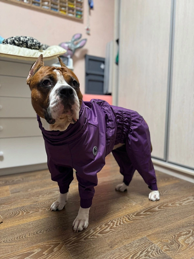 Фотография к отзыву от Марина.