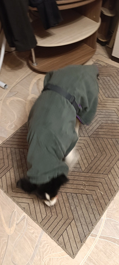 Фотография к отзыву от Ирина. Товар: <a href='/catalog/product/polotentse-khalat/'>Полотенце/халат</a>