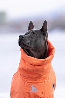 Зимний комбинезон'24