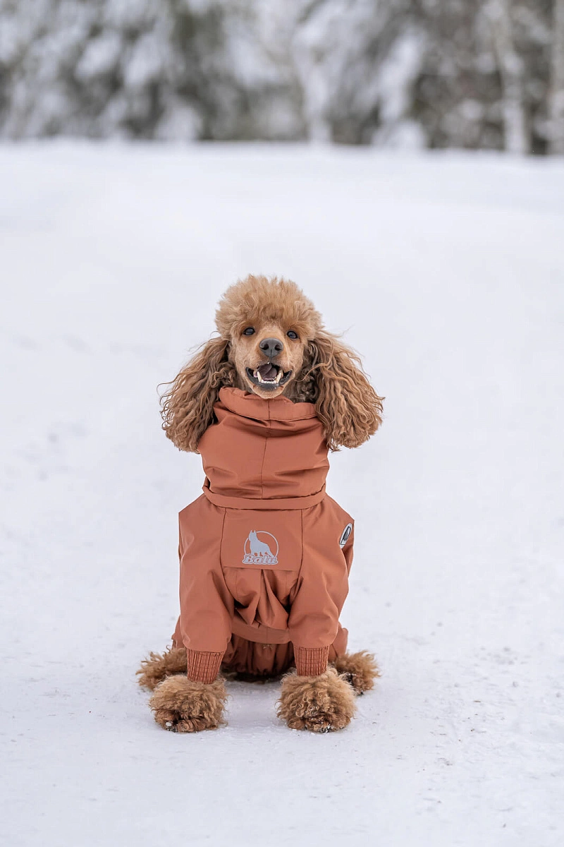 Зимний комбинезон'24