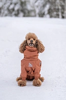 Зимний комбинезон'24